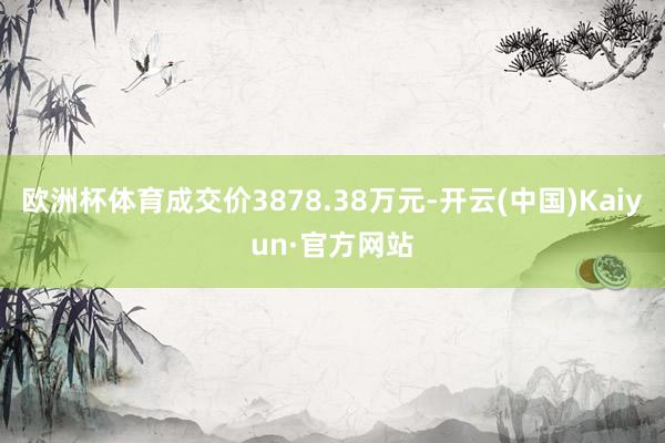 欧洲杯体育成交价3878.38万元-开云(中国)Kaiyun·官方网站