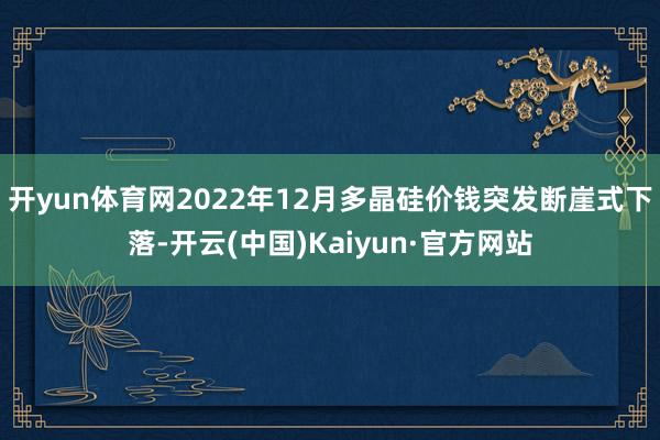 开yun体育网2022年12月多晶硅价钱突发断崖式下落-开云(中国)Kaiyun·官方网站
