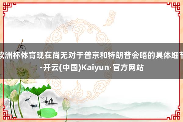 欧洲杯体育现在尚无对于普京和特朗普会晤的具体细节-开云(中国)Kaiyun·官方网站