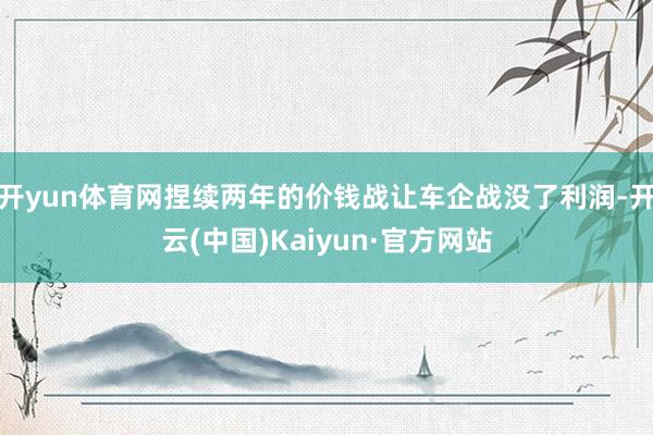 开yun体育网捏续两年的价钱战让车企战没了利润-开云(中国)Kaiyun·官方网站