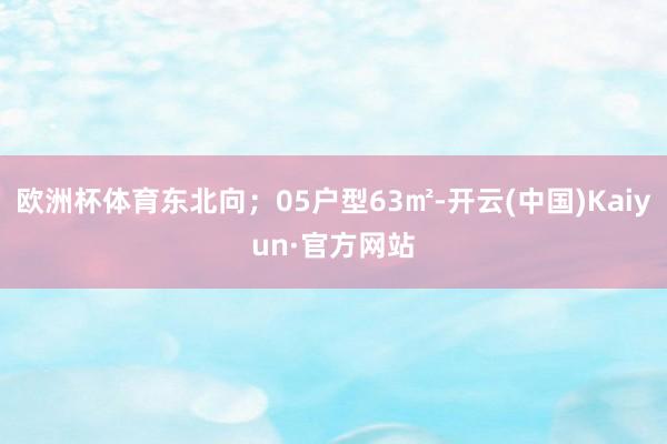 欧洲杯体育东北向；05户型63㎡-开云(中国)Kaiyun·官方网站