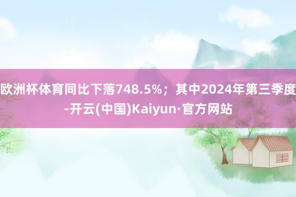 欧洲杯体育同比下落748.5%；其中2024年第三季度-开云(中国)Kaiyun·官方网站