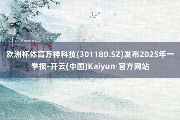 欧洲杯体育万祥科技(301180.SZ)发布2025年一季报-开云(中国)Kaiyun·官方网站