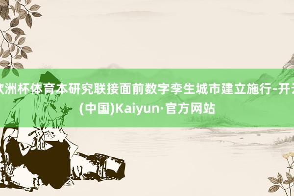 欧洲杯体育本研究联接面前数字孪生城市建立施行-开云(中国)Kaiyun·官方网站