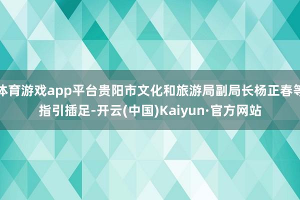 体育游戏app平台贵阳市文化和旅游局副局长杨正春等指引插足-开云(中国)Kaiyun·官方网站