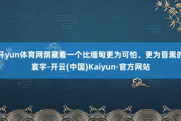 开yun体育网荫藏着一个比缅甸更为可怕、更为昏黑的寰宇-开云(中国)Kaiyun·官方网站