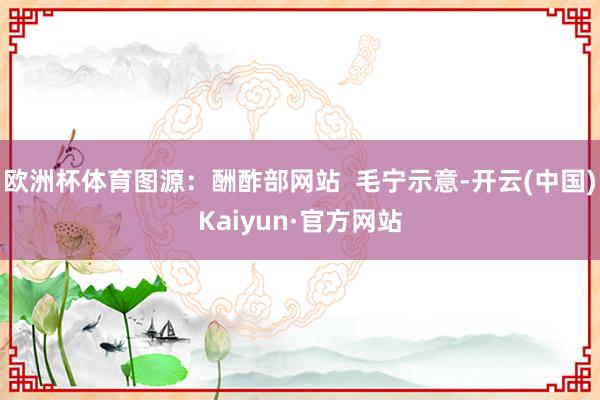 欧洲杯体育图源：酬酢部网站  毛宁示意-开云(中国)Kaiyun·官方网站