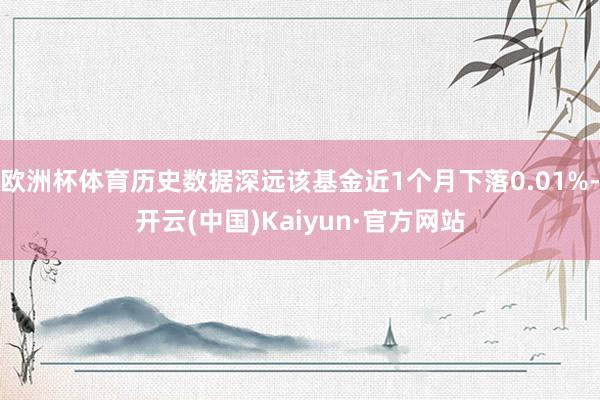 欧洲杯体育历史数据深远该基金近1个月下落0.01%-开云(中国)Kaiyun·官方网站
