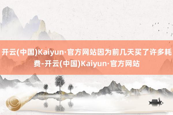 开云(中国)Kaiyun·官方网站因为前几天买了许多耗费-开云(中国)Kaiyun·官方网站