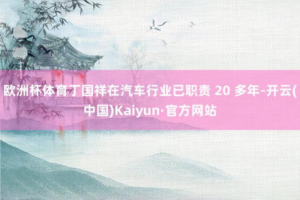 欧洲杯体育丁国祥在汽车行业已职责 20 多年-开云(中国)Kaiyun·官方网站