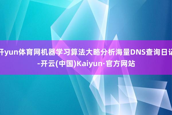 开yun体育网机器学习算法大略分析海量DNS查询日记-开云(中国)Kaiyun·官方网站