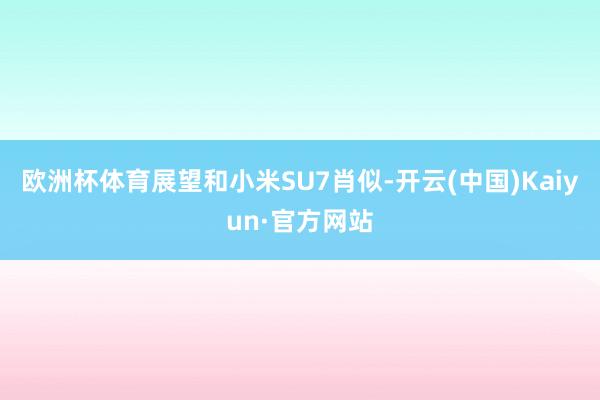欧洲杯体育展望和小米SU7肖似-开云(中国)Kaiyun·官方网站
