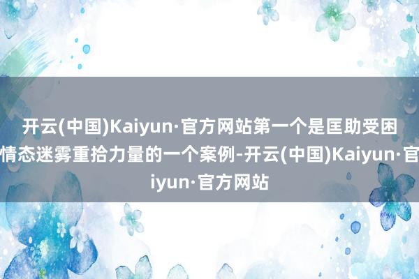 开云(中国)Kaiyun·官方网站第一个是匡助受困者拨开情态迷雾重拾力量的一个案例-开云(中国)Kaiyun·官方网站