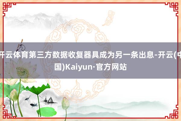 开云体育第三方数据收复器具成为另一条出息-开云(中国)Kaiyun·官方网站