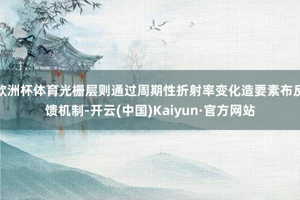 欧洲杯体育光栅层则通过周期性折射率变化造要素布反馈机制-开云(中国)Kaiyun·官方网站