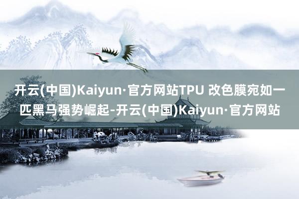 开云(中国)Kaiyun·官方网站TPU 改色膜宛如一匹黑马强势崛起-开云(中国)Kaiyun·官方网站