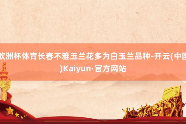 欧洲杯体育长春不雅玉兰花多为白玉兰品种-开云(中国)Kaiyun·官方网站