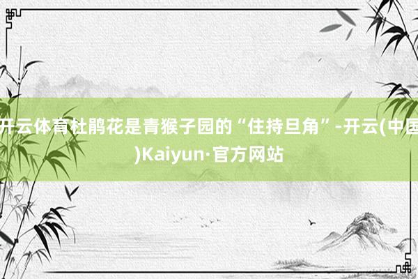 开云体育杜鹃花是青猴子园的“住持旦角”-开云(中国)Kaiyun·官方网站