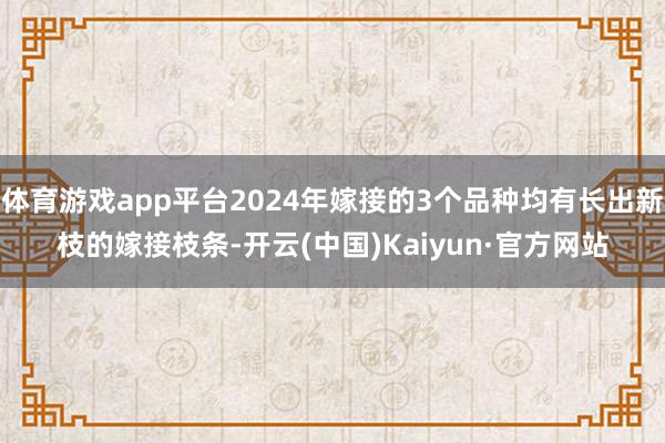 体育游戏app平台2024年嫁接的3个品种均有长出新枝的嫁接枝条-开云(中国)Kaiyun·官方网站