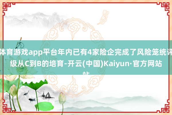 体育游戏app平台年内已有4家险企完成了风险笼统评级从C到B的培育-开云(中国)Kaiyun·官方网站
