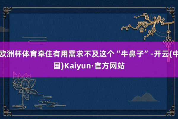 欧洲杯体育牵住有用需求不及这个“牛鼻子”-开云(中国)Kaiyun·官方网站