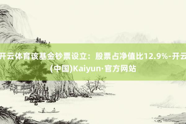 开云体育该基金钞票设立:股票占净值比12.9%-开云(中国)Kaiyun·官方网站