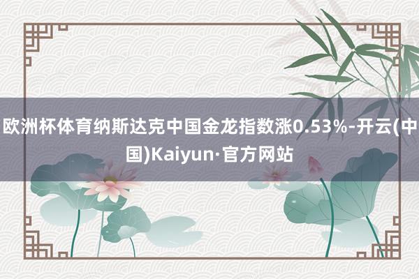 欧洲杯体育纳斯达克中国金龙指数涨0.53%-开云(中国)Kaiyun·官方网站