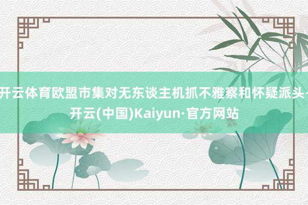 开云体育欧盟市集对无东谈主机抓不雅察和怀疑派头-开云(中国)Kaiyun·官方网站