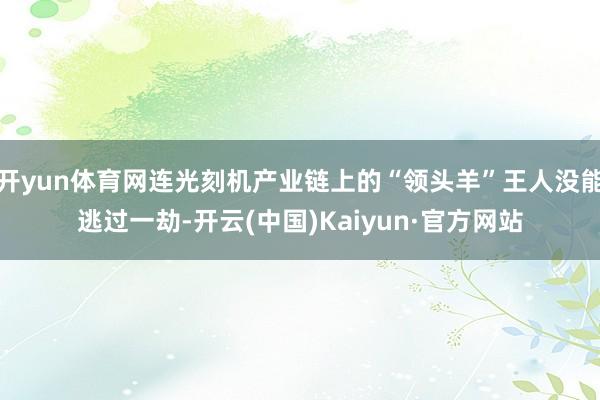 开yun体育网连光刻机产业链上的“领头羊”王人没能逃过一劫-开云(中国)Kaiyun·官方网站