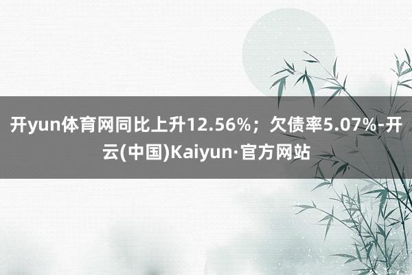 开yun体育网同比上升12.56%；欠债率5.07%-开云(中国)Kaiyun·官方网站