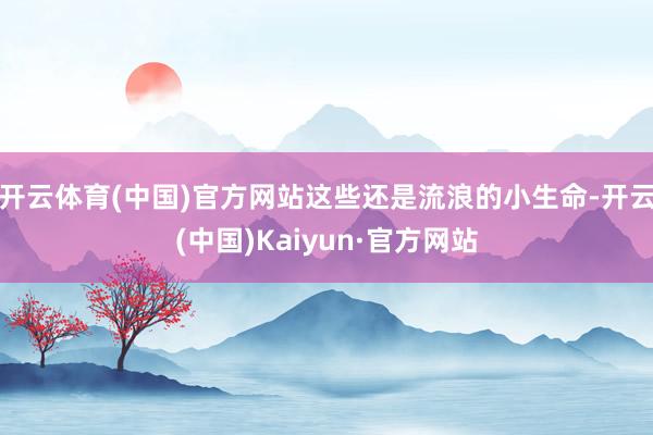 开云体育(中国)官方网站这些还是流浪的小生命-开云(中国)Kaiyun·官方网站