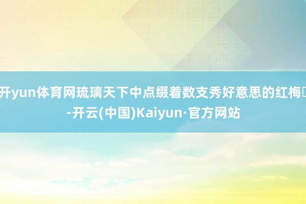 开yun体育网琉璃天下中点缀着数支秀好意思的红梅‌-开云(中国)Kaiyun·官方网站