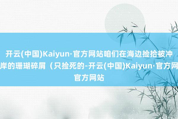 开云(中国)Kaiyun·官方网站咱们在海边捡拾被冲上岸的珊瑚碎屑（只捡死的-开云(中国)Kaiyun·官方网站