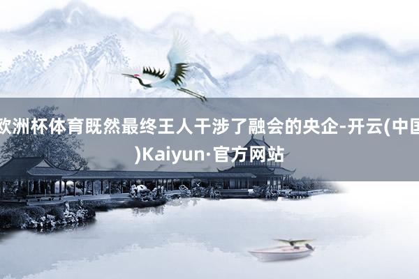 欧洲杯体育既然最终王人干涉了融会的央企-开云(中国)Kaiyun·官方网站