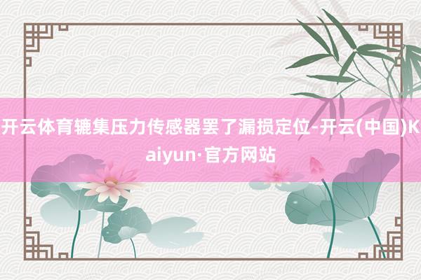 开云体育辘集压力传感器罢了漏损定位-开云(中国)Kaiyun·官方网站