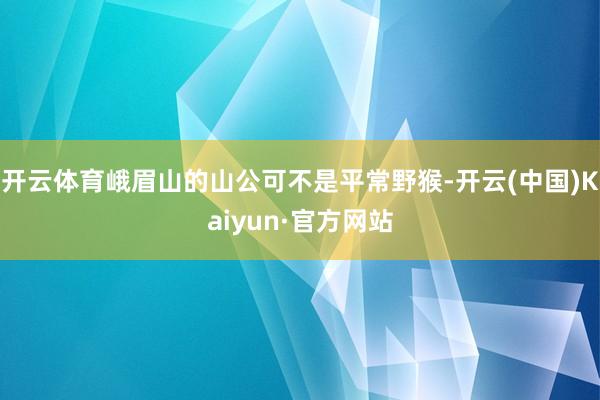 开云体育峨眉山的山公可不是平常野猴-开云(中国)Kaiyun·官方网站