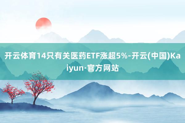 开云体育14只有关医药ETF涨超5%-开云(中国)Kaiyun·官方网站