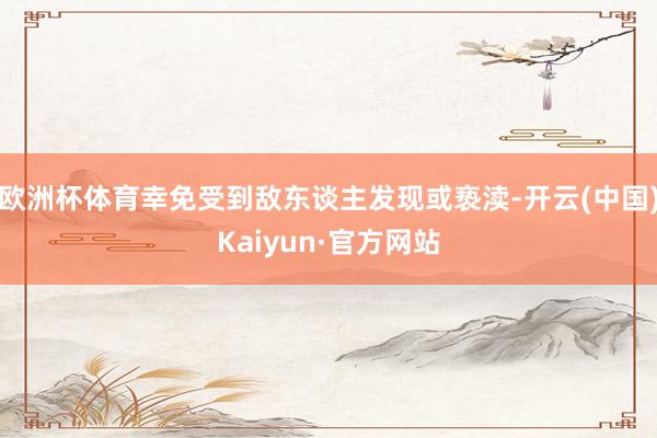 欧洲杯体育幸免受到敌东谈主发现或亵渎-开云(中国)Kaiyun·官方网站