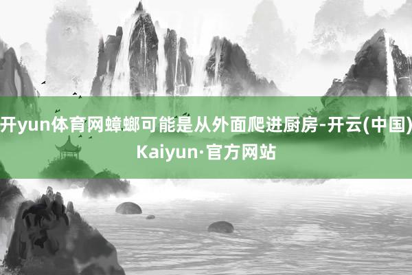 开yun体育网蟑螂可能是从外面爬进厨房-开云(中国)Kaiyun·官方网站