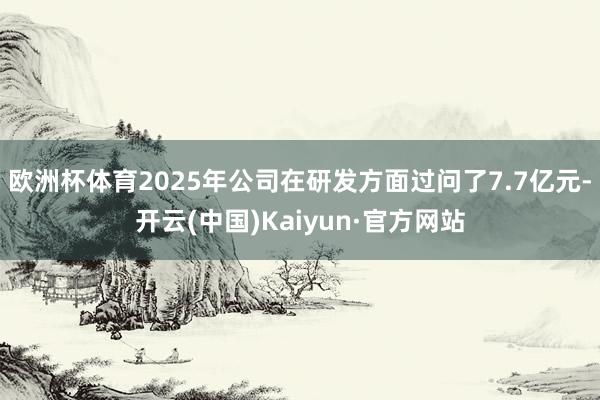欧洲杯体育2025年公司在研发方面过问了7.7亿元-开云(中国)Kaiyun·官方网站