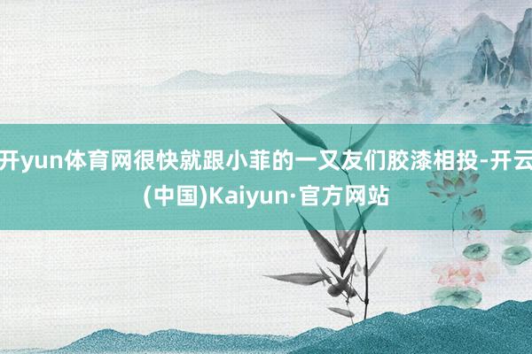 开yun体育网很快就跟小菲的一又友们胶漆相投-开云(中国)Kaiyun·官方网站