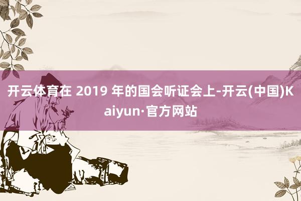 开云体育在 2019 年的国会听证会上-开云(中国)Kaiyun·官方网站