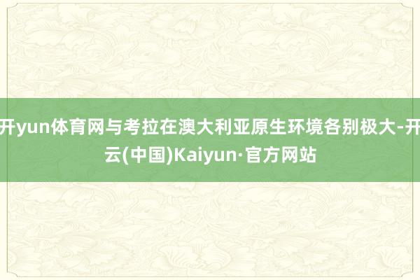 开yun体育网与考拉在澳大利亚原生环境各别极大-开云(中国)Kaiyun·官方网站