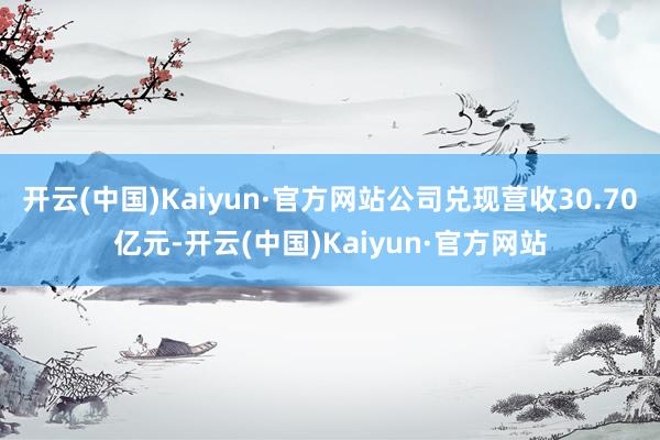开云(中国)Kaiyun·官方网站公司兑现营收30.70亿元-开云(中国)Kaiyun·官方网站