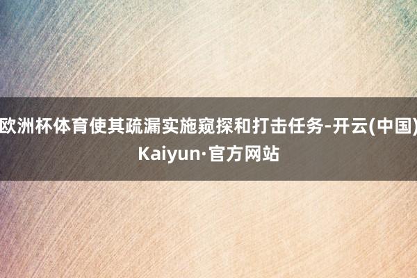 欧洲杯体育使其疏漏实施窥探和打击任务-开云(中国)Kaiyun·官方网站