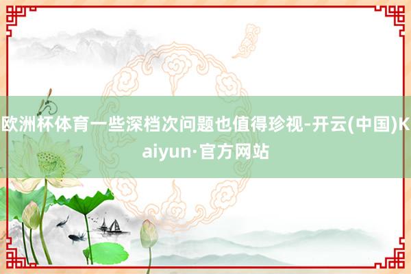 欧洲杯体育一些深档次问题也值得珍视-开云(中国)Kaiyun·官方网站