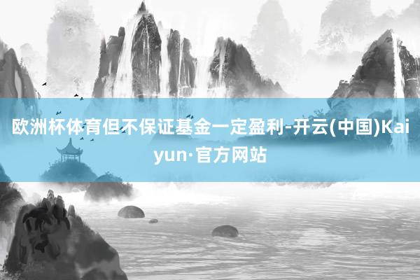 欧洲杯体育但不保证基金一定盈利-开云(中国)Kaiyun·官方网站